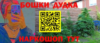 шишки Апшеронск